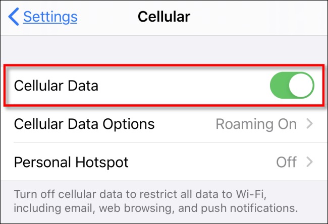 Cellular Data Options